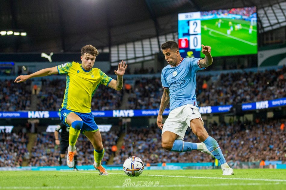 场实力的球 场实力的球